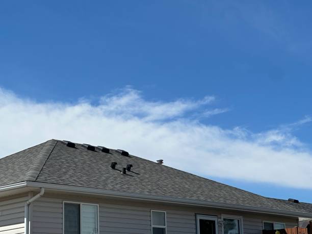 Best Roof Coating and Sealing  in Montgomery, GA